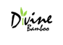 Divine Bamboo Group Limited