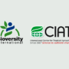 The Alliance of Bioversity International and CIAT