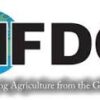 IFDC Uganda