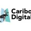 Caribou Digital