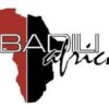 Badili Africa